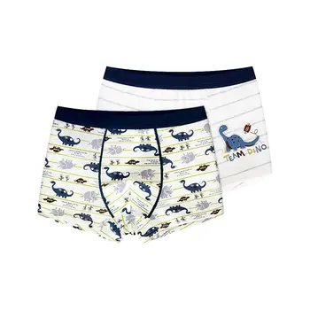2pcs Boy Dinosaur and Seahorse Boxer Cotton Breathable Boxer Underwear for Kids Boy Soft Shorts
2pcs Boy Dinosaur and Seahorse Boxer Cotton Breathable Boxer Underwear for Kids Boy Soft Shorts