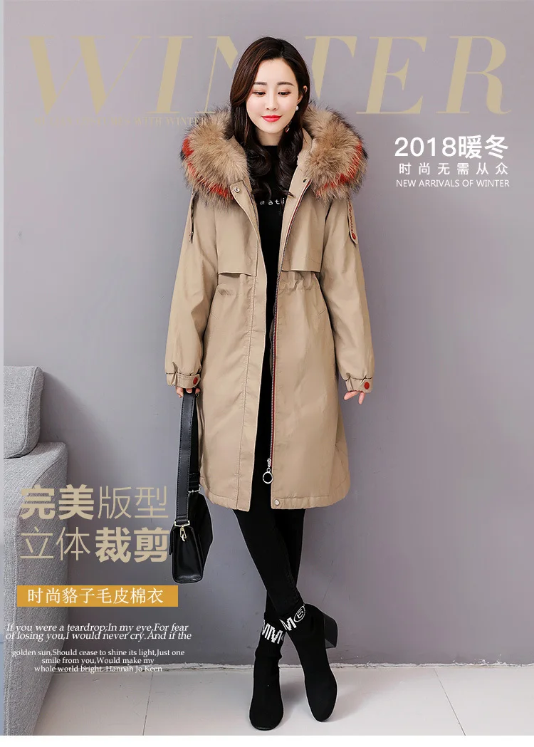 2019 Fur Clothes Girl Long Section Raccoon Fur Collar Down Thickening