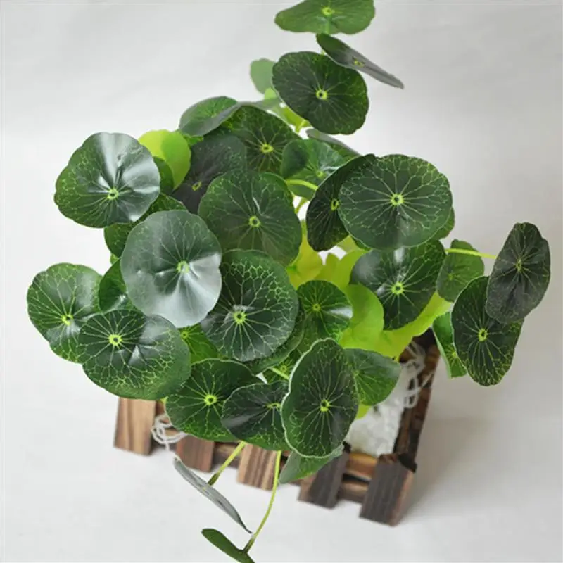 12 Branches Plastic Flower Grass Green Lotus Leaf Imitation Fern Artificial Grass Leaves Plant Fish Tank Ornament Decor New
12 Branches Plastic Flower Grass Green Lotus Leaf Imitation Fern Artificial Grass Leaves Plant Fish Tank Ornament Decor New