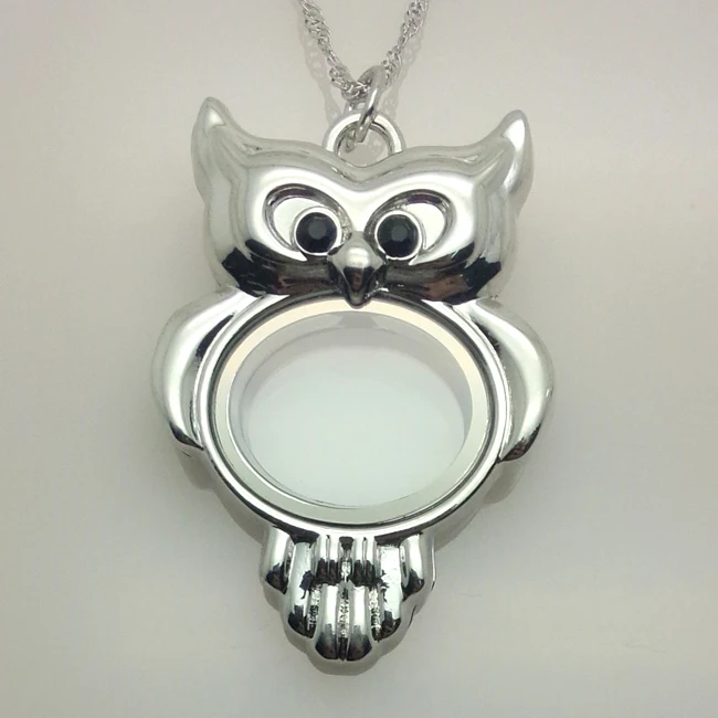 10 Pcs/lot free chain magnetic living memory locket owl glass floating locket
10 Pcs/lot free chain magnetic living memory locket owl glass floating locket