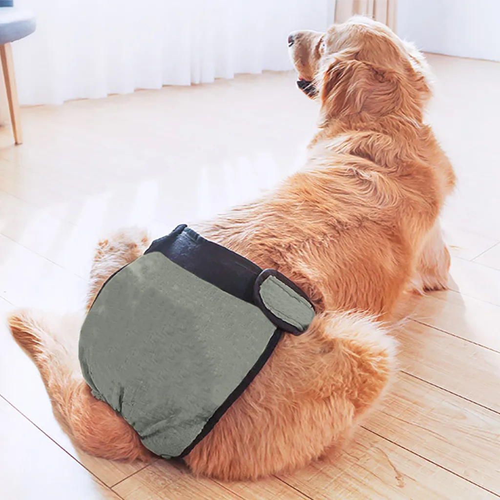 Dog Diapers Dog Panties Health Pets Menstrual Physiological Pet Safety Waterproof Physiology Pants Reusable Diaper Dogs Pants
Dog Diapers Dog Panties Health Pets Menstrual Physiological Pet Safety Waterproof Physiology Pants Reusable Diaper Dogs Pants