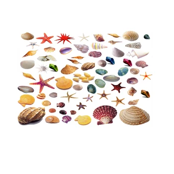 122cm Length Creative Aquarium Background Poster Fish Tank Beautiful Sticker Background Picture Ocean Fish Aquarium MA15
122cm Length Creative Aquarium Background Poster Fish Tank Beautiful Sticker Background Picture Ocean Fish Aquarium MA15