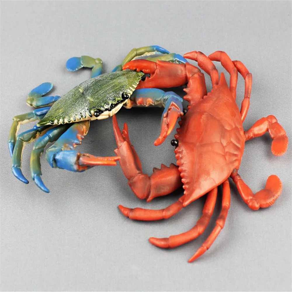 Simulation Mini Crab Collection Child Figurine Animal Model Home Decor Kids Toys Realistic Sea Animal Modern Model Accessories
Simulation Mini Crab Collection Child Figurine Animal Model Home Decor Kids Toys Realistic Sea Animal Modern Model Accessories