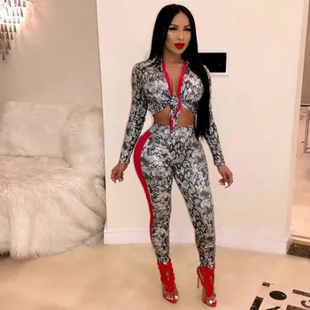 Vintage Two Pieces Set Short Women Tracksuit Long Sleeve Leopard Print Crop Top Pencil Pants Set Fall Outfit
Vintage Two Pieces Set Short Women Tracksuit Long Sleeve Leopard Print Crop Top Pencil Pants Set Fall Outfit