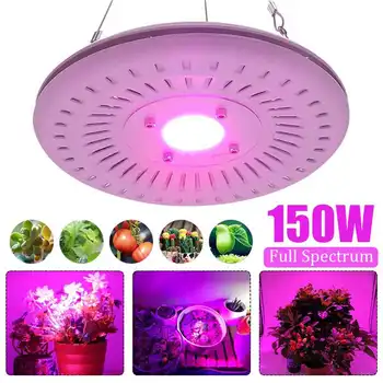 Newest Full Spectrum Hydro COB LED Grow Lights Lamps 150W High Output for Indoor Plants Seedling Vegetable and Flower EU/US Plug
Newest Full Spectrum Hydro COB LED Grow Lights Lamps 150W High Output for Indoor Plants Seedling Vegetable and Flower EU/US Plug