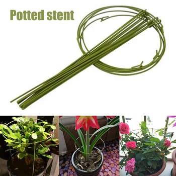 5 Pcs/Set Plant Support Ring Cage Garden Plants Support Trellises Potted Orchid Fixed Ring YU-Home
5 Pcs/Set Plant Support Ring Cage Garden Plants Support Trellises Potted Orchid Fixed Ring YU-Home
