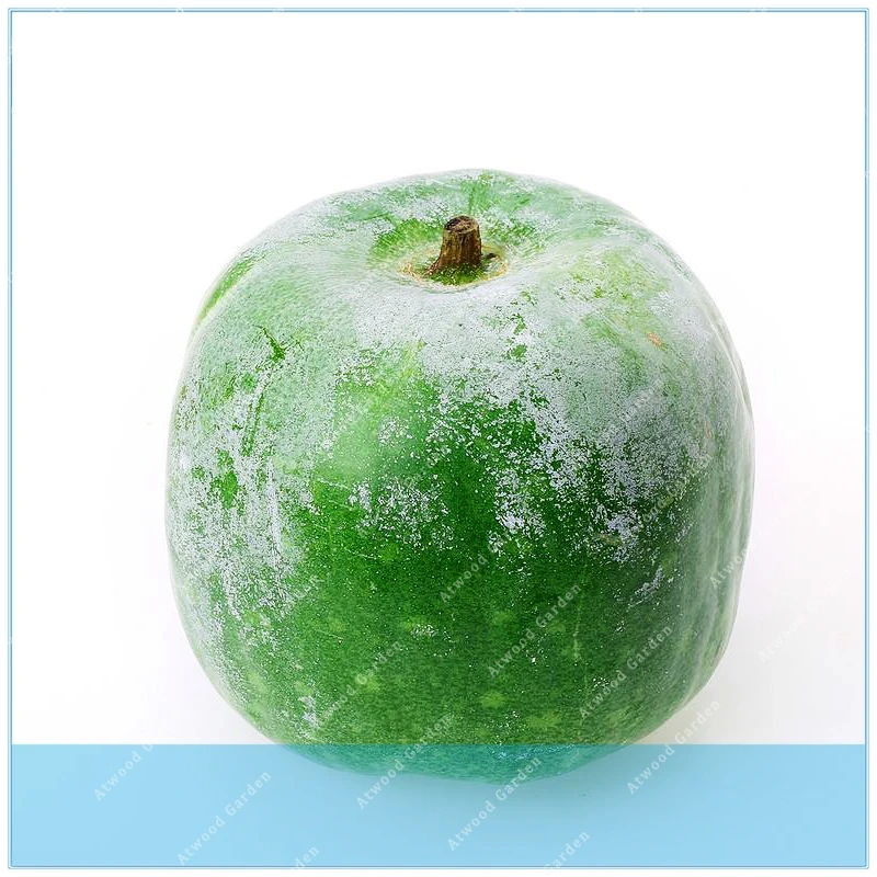 ZLKING 50pcs wax gourd organic Benincasa hispida sheet jelly big wax gourd vegetable
ZLKING 50pcs wax gourd organic Benincasa hispida sheet jelly big wax gourd vegetable