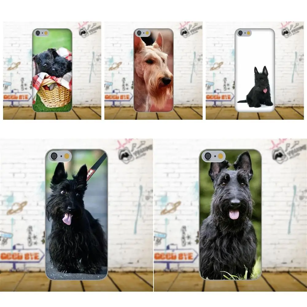 Scottish Terrier Dog Puppy Puppies Customized For Apple iPhone 4 4S 5 5C SE 6 6S 7 8 Plus X Galaxy Grand Core II Prime Alpha
Scottish Terrier Dog Puppy Puppies Customized For Apple iPhone 4 4S 5 5C SE 6 6S 7 8 Plus X Galaxy Grand Core II Prime Alpha