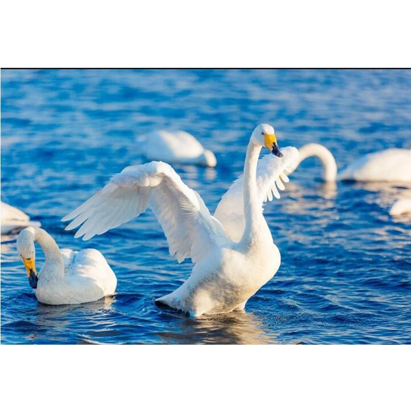 5d Diy Diamond Painting Kit Square Diamond Rhinestone Cross Stitch Kit Diamond Embroidery Mosaic White Swan Lake Sewing
5d Diy Diamond Painting Kit Square Diamond Rhinestone Cross Stitch Kit Diamond Embroidery Mosaic White Swan Lake Sewing