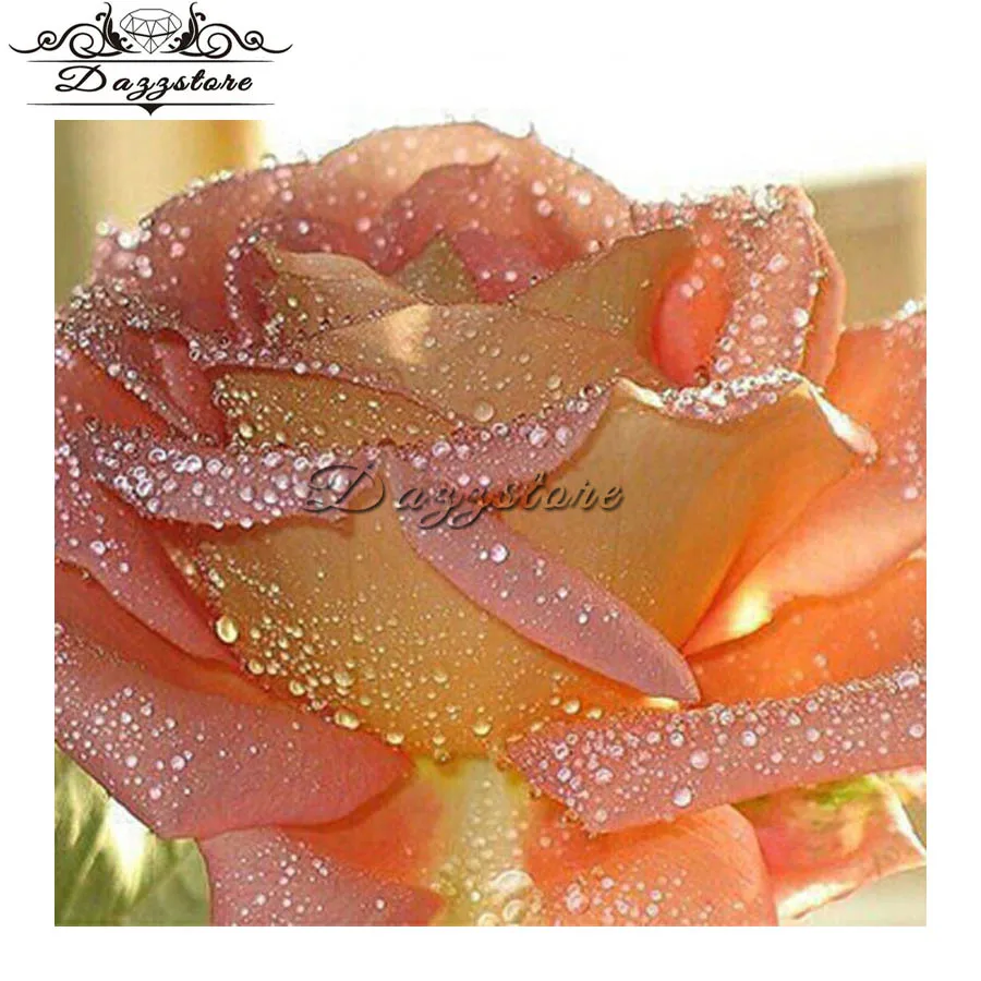 diamond embroidery flowers 5d diy diamond painting cross stitch Handicraft Needlework home decor diamond mosaic paintings
diamond embroidery flowers 5d diy diamond painting cross stitch Handicraft Needlework home decor diamond mosaic paintings