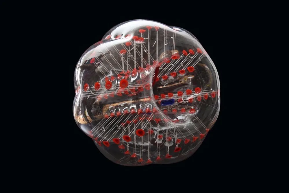 61XnIQGm4VL._SL1050_