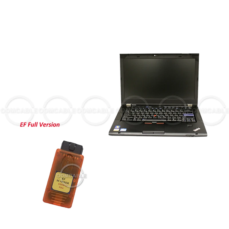 ef with laptop