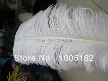 EMS Free Shipping 100pcs 22-24inch(55-60cm) White Ostrich Feathers plumes for Wedding Home table Decor centerpiece or Costume
EMS Free Shipping 100pcs 22-24inch(55-60cm) White Ostrich Feathers plumes for Wedding Home table Decor centerpiece or Costume