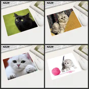 XGZ Cute Face Cat Rubber Rectangular Mouse Pad for A Variety of Computer Mouse Pads Small Size Portable Can Be Used for Gifts
XGZ Cute Face Cat Rubber Rectangular Mouse Pad for A Variety of Computer Mouse Pads Small Size Portable Can Be Used for Gifts