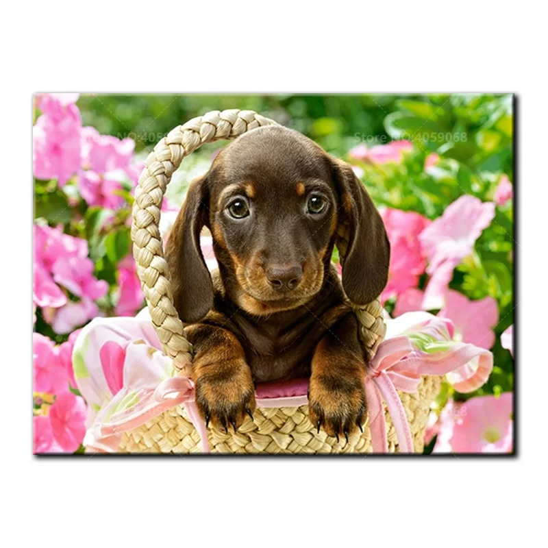 Full Square/Round diamond embroidery 5D DIY Diamond painting dachshund Cross Stitch Rhinestone Mosaic Decoration Gift B1109
Full Square/Round diamond embroidery 5D DIY Diamond painting dachshund Cross Stitch Rhinestone Mosaic Decoration Gift B1109