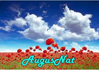 poppy diamond painting flower 5d daimond embroidery full square cloud daimont painting puzzle picture diamant drawing decal art
poppy diamond painting flower 5d daimond embroidery full square cloud daimont painting puzzle picture diamant drawing decal art