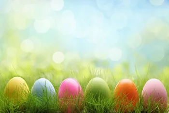 Easter Photography Backdrops Backdrop Printed With Colorful Eggs And Bright Bottom Background D-4886 
Easter Photography Backdrops Backdrop Printed With Colorful Eggs And Bright Bottom Background D-4886