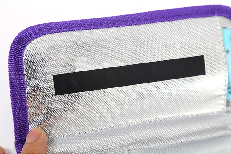 Insulin Cooler Bag 1 (21)