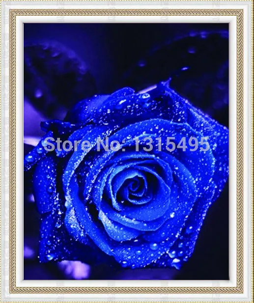Diy needlework diamond painting cross stitch kit Inlaid home decoration painting Diamond embroidery blue rose D121
Diy needlework diamond painting cross stitch kit Inlaid home decoration painting Diamond embroidery blue rose D121