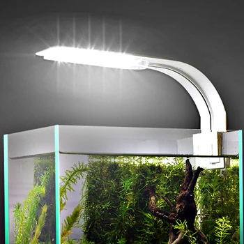 Aquarium Light For Fish Tank Planted Aquarium 10W/5W/3W LED Light For Aquarium LED Lighting Anti-Fog Clip-On Luces Lights Lamp
Aquarium Light For Fish Tank Planted Aquarium 10W/5W/3W LED Light For Aquarium LED Lighting Anti-Fog Clip-On Luces Lights Lamp