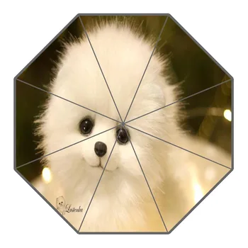 New Arrival Pomeranian Dog Umbrellas Non-Automatic Folding Women Rain Umbrella Customized Fashion Portable Umbrella Gift
New Arrival Pomeranian Dog Umbrellas Non-Automatic Folding Women Rain Umbrella Customized Fashion Portable Umbrella Gift
