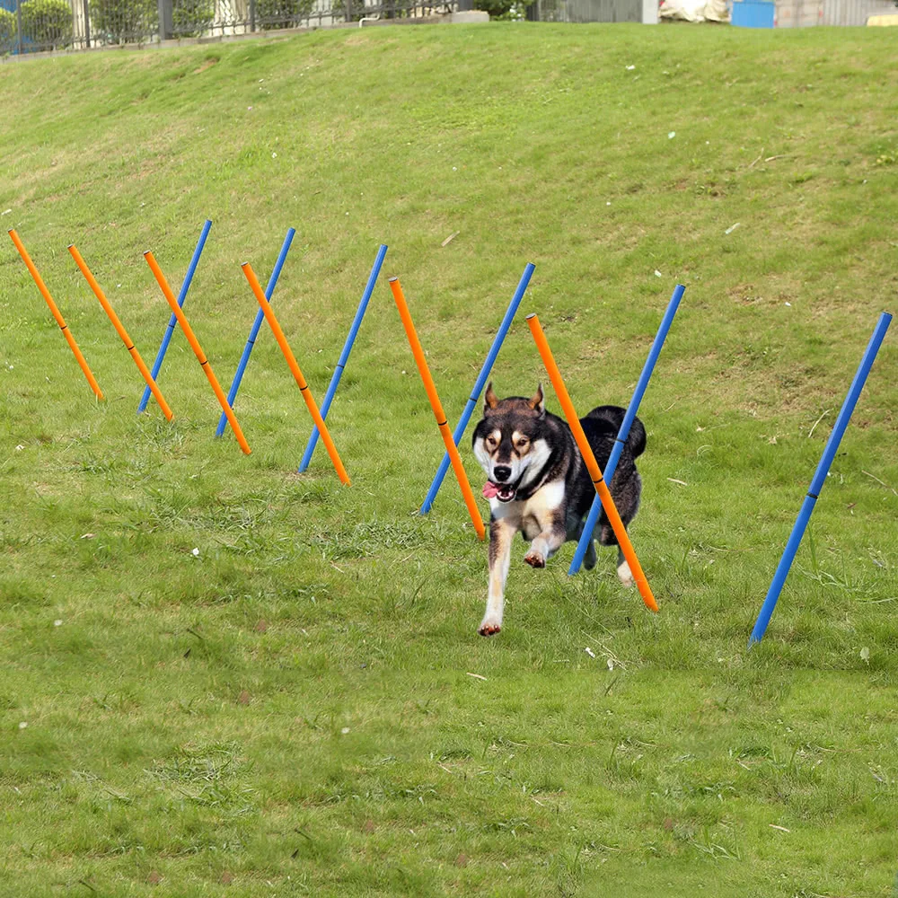 Pet Outdoor Dog Agility Sports Training Poles Equipment Dogs Activity Agility Weave Slalom 12 Pole Set with Carrying Case 
Pet Outdoor Dog Agility Sports Training Poles Equipment Dogs Activity Agility Weave Slalom 12 Pole Set with Carrying Case