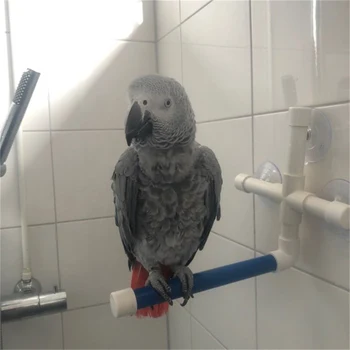 Pet Birds Folding Shower Standing Perches Toys Bird Bath Platform Rack Wall Suction Cup Parrot Parakeet Budge Grinding Stand Toy
Pet Birds Folding Shower Standing Perches Toys Bird Bath Platform Rack Wall Suction Cup Parrot Parakeet Budge Grinding Stand Toy
