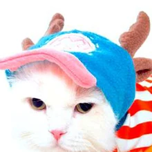Funny Pet Costume Clothes Cats Wear Clothes Nurses Disfraces Para Perros Overalls Dog Pet Clothing Cat