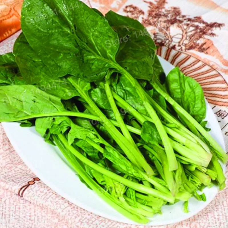 100pcs/bag green vegetable Plantas spinach Flores healthy bonsai vegetables for home garden planting
100pcs/bag green vegetable Plantas spinach Flores healthy bonsai vegetables for home garden planting