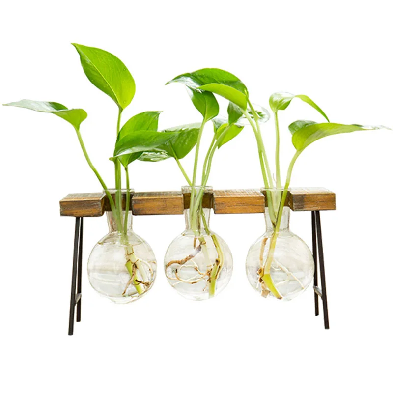 2019 New Hydroponic Plant Vases Vintage Flower Pot Transparent Vase Glass Tabletop Plants Home Decor Party Gifts
2019 New Hydroponic Plant Vases Vintage Flower Pot Transparent Vase Glass Tabletop Plants Home Decor Party Gifts