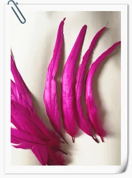 100Pcs/lot 14-16 Inches(35-40cm) Rooster tail Feather fushcia rooster feathers indian feather headdress jewelry making accessory
100Pcs/lot 14-16 Inches(35-40cm) Rooster tail Feather fushcia rooster feathers indian feather headdress jewelry making accessory