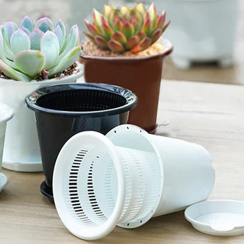 New Drainage Slotted Hole Succulents Orchid Flower Inner Outer Pot Container Home Office Decor Planter Desktop Flower Pots
New Drainage Slotted Hole Succulents Orchid Flower Inner Outer Pot Container Home Office Decor Planter Desktop Flower Pots