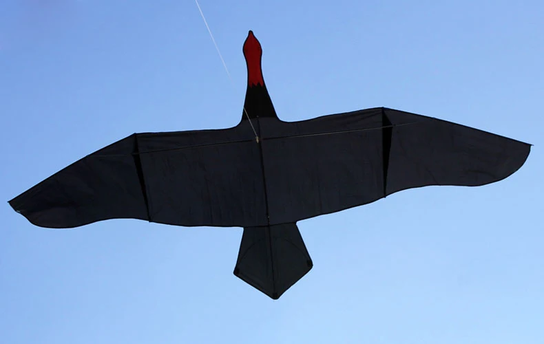 3m NEW HUGE Black SWAN KITE outdoor fun toys novelty kite Single line Bird kite 