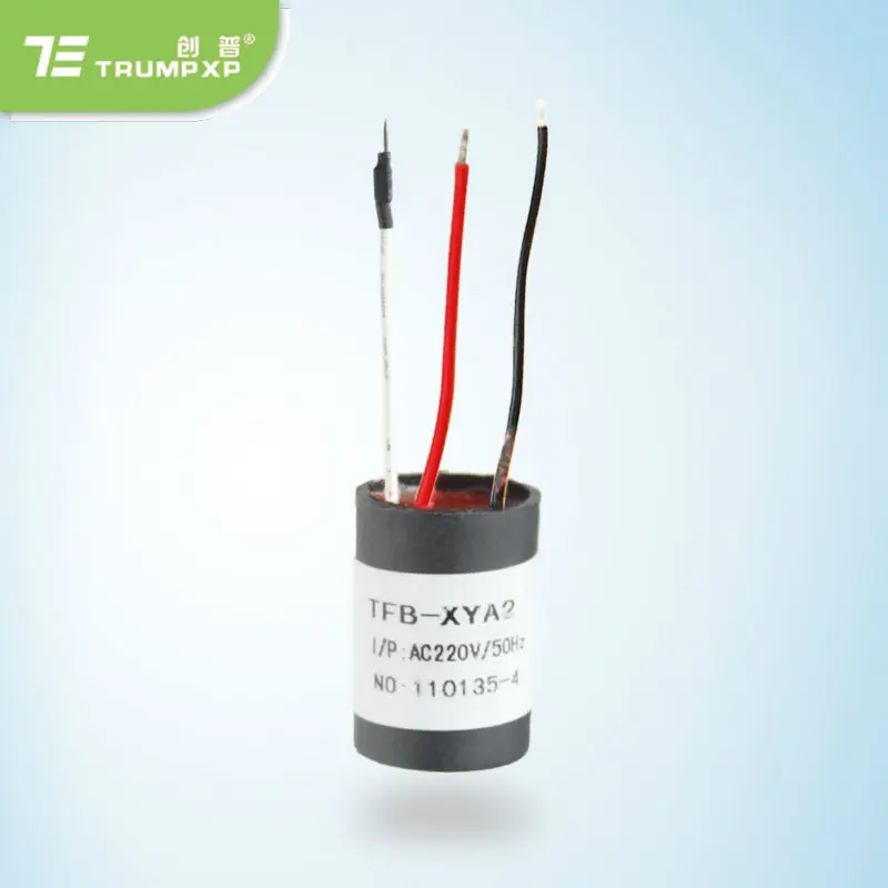 1pc TRUMPXP TFB-XYA2 AC220V anion generator parts of hair dryer led hair straightener
1pc TRUMPXP TFB-XYA2 AC220V anion generator parts of hair dryer led hair straightener