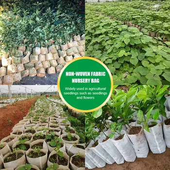 100pcs Biodegradable Non-Woven Nursery Bags Plant Grow Bags Fabric Seedling Pots Eco-Friendly Aeration Planting Bags a
100pcs Biodegradable Non-Woven Nursery Bags Plant Grow Bags Fabric Seedling Pots Eco-Friendly Aeration Planting Bags a