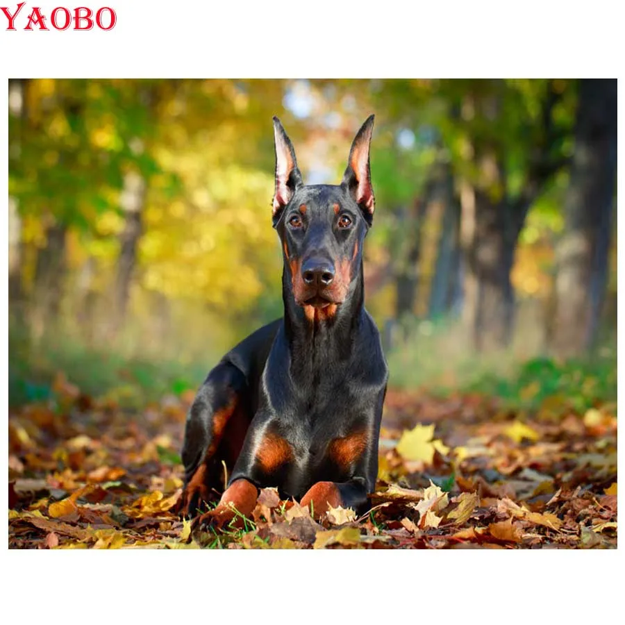 5D Diamond Embroidery Doberman Pinscher Diy Diamond Painting Cross Stitch Mosaic 3d Full Square round drill Resin Needlework
5D Diamond Embroidery Doberman Pinscher Diy Diamond Painting Cross Stitch Mosaic 3d Full Square round drill Resin Needlework