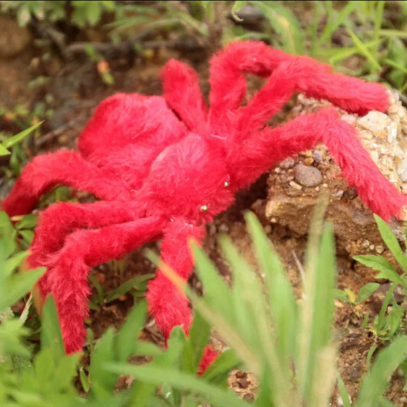 Cosplay&ware 30cm-200cm Super Big Wire Plush Material Spider Realistic Black Horrible Fake Spiders Toy Home Party Halloween Decoration 19 Cosplay&ware 30cm-200cm Super Big Wire Plush Material Spider Realistic Black Horrible Fake Spiders Toy Home Party Halloween Decoration -Cosplayware Store