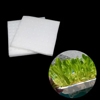 1 Pack(64/100Pcs) PU Sponge Hydroponic Nursery Plant Soilless Balcony Vegetable Cultivation Garden Planting Accessories
1 Pack(64/100Pcs) PU Sponge Hydroponic Nursery Plant Soilless Balcony Vegetable Cultivation Garden Planting Accessories