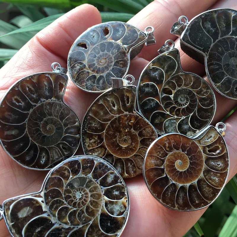 1pc Fashion 3.5cm Random Color Coated Edge Small Pendant Madagascar Sea Natural Druzy Ammonite Slice Shell Gemstone QDD9145
1pc Fashion 3.5cm Random Color Coated Edge Small Pendant Madagascar Sea Natural Druzy Ammonite Slice Shell Gemstone QDD9145