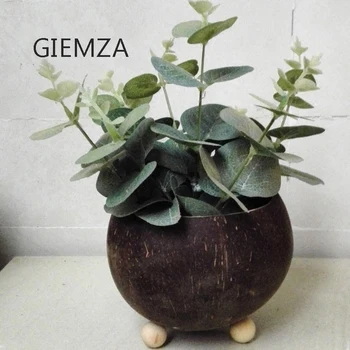 GIEMZA Coconut Shell VASE or Planter Pots Natural Material Handmade No Plant 1pc Like Bowl Succulents Decor Unique Dried Flowers
GIEMZA Coconut Shell VASE or Planter Pots Natural Material Handmade No Plant 1pc Like Bowl Succulents Decor Unique Dried Flowers