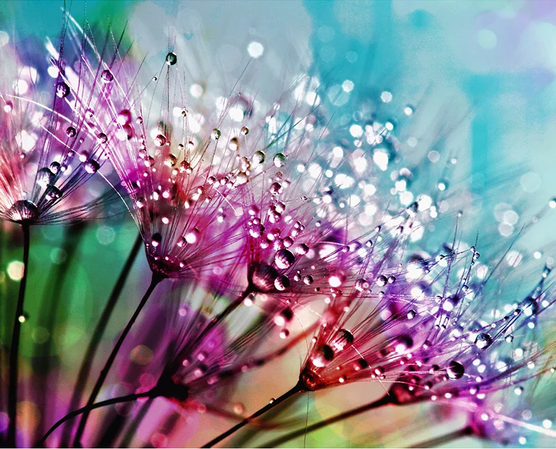 5D DIY full circular diamond landscape Colorful flowers diamond cross stitch rhinestone painting wedding decor home
5D DIY full circular diamond landscape Colorful flowers diamond cross stitch rhinestone painting wedding decor home