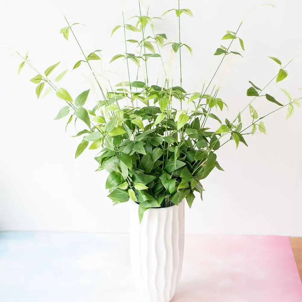 1Pc Artificial Bamboo Plant Photograph Prop Wedding Party Office Table Decor 2019
1Pc Artificial Bamboo Plant Photograph Prop Wedding Party Office Table Decor 2019