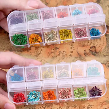 Doreen Box Fashion DIY Making Rings Necklace Jewelry Plastic Resin Jewelry Tool Round Rectangle Multicolor Dried Flower Findings
Doreen Box Fashion DIY Making Rings Necklace Jewelry Plastic Resin Jewelry Tool Round Rectangle Multicolor Dried Flower Findings