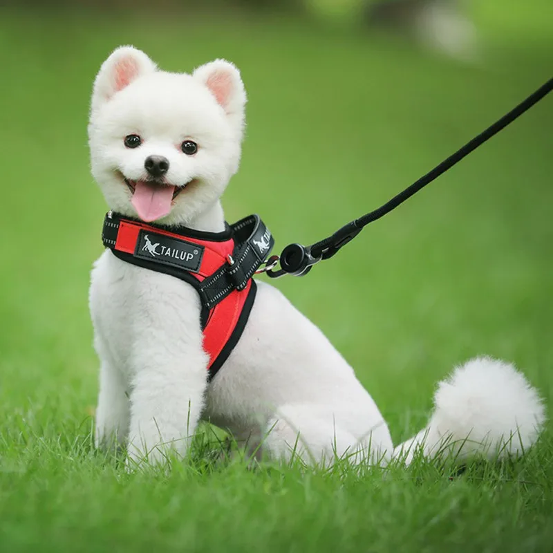 Pet Reflective Vest Harness For Small Dogs Having A Long Service Life High-quality Oxford Cloth Is Durable And Wear-resistant
Pet Reflective Vest Harness For Small Dogs Having A Long Service Life High-quality Oxford Cloth Is Durable And Wear-resistant