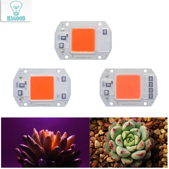 Smart IC COB Integrated LED Chip AC220V High Power Outdoor Spotlight Lamp Beads 20W 30W 50W for Plant Growth Lighting
Smart IC COB Integrated LED Chip AC220V High Power Outdoor Spotlight Lamp Beads 20W 30W 50W for Plant Growth Lighting