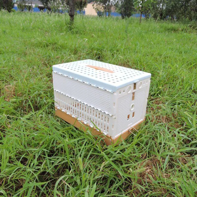 Chicken Cage Pigeon Dove Bird Cage Nipple Water Drinkings Parrot Rabbit Cage Breeding Poultry Plastic Cage
Chicken Cage Pigeon Dove Bird Cage Nipple Water Drinkings Parrot Rabbit Cage Breeding Poultry Plastic Cage