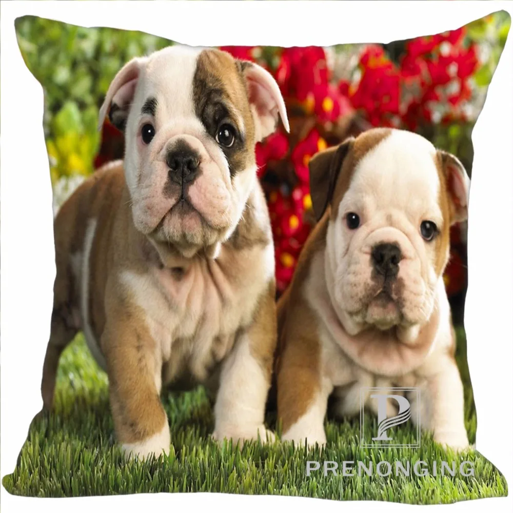 Custom Decorative Pillowcase Dog with Rose@012 Square Zippered Pillow Cover Best Gift 20X20cm,35X35cm(One Side)180117#105
Custom Decorative Pillowcase Dog with Rose@012 Square Zippered Pillow Cover Best Gift 20X20cm,35X35cm(One Side)180117#105