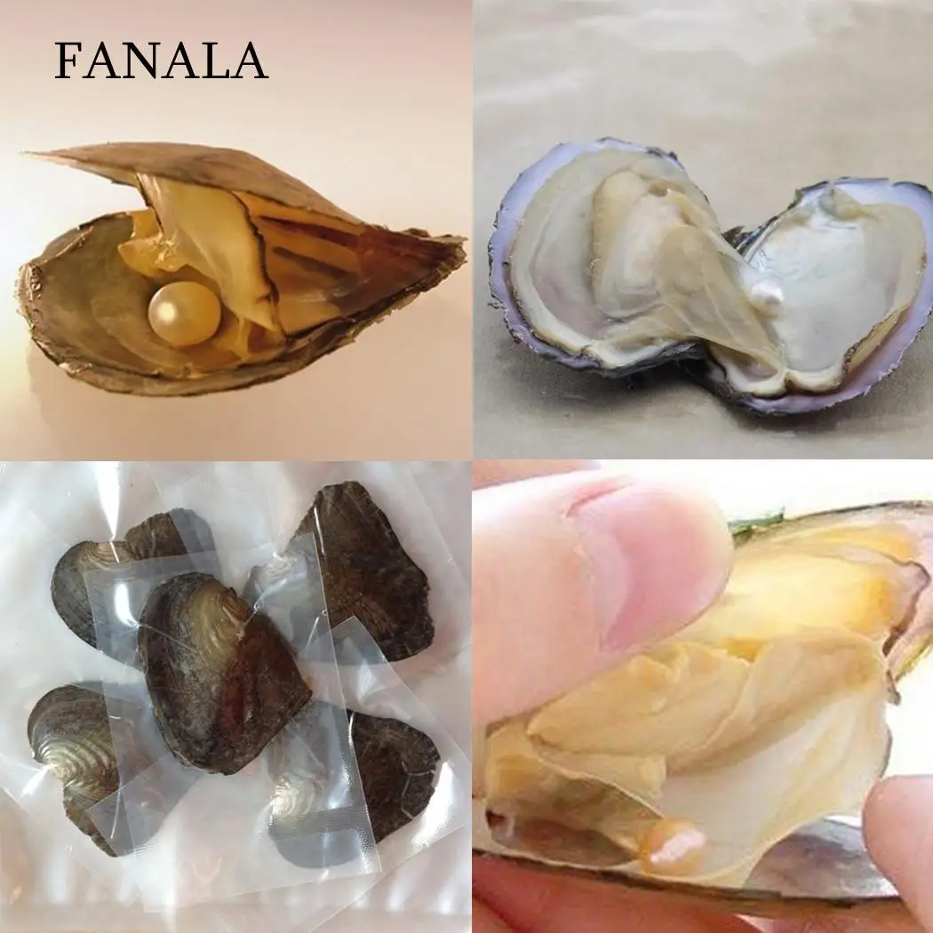 Vacuum Packaging A Mussel 6PCS Beads Pearl small mussel Mussel Oyster Drop Pearl Pendant Pearls
Vacuum Packaging A Mussel 6PCS Beads Pearl small mussel Mussel Oyster Drop Pearl Pendant Pearls