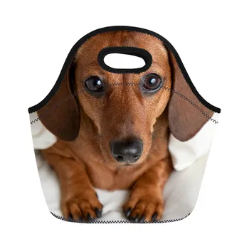 THIKIN Dachshund Dog Print Insulated Lunch Bag Women Lunchbox Storage Bag Zipper Portable Neoprene Thermal Food Picnic for Kids
THIKIN Dachshund Dog Print Insulated Lunch Bag Women Lunchbox Storage Bag Zipper Portable Neoprene Thermal Food Picnic for Kids