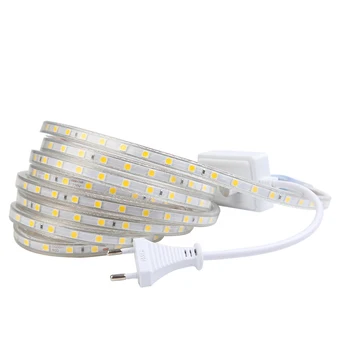 220V LED Strip light Waterproof 60leds/m 5050 1m-20m led tape Flexible Diode black light living room home Decoration Christmas
220V LED Strip light Waterproof 60leds/m 5050 1m-20m led tape Flexible Diode black light living room home Decoration Christmas